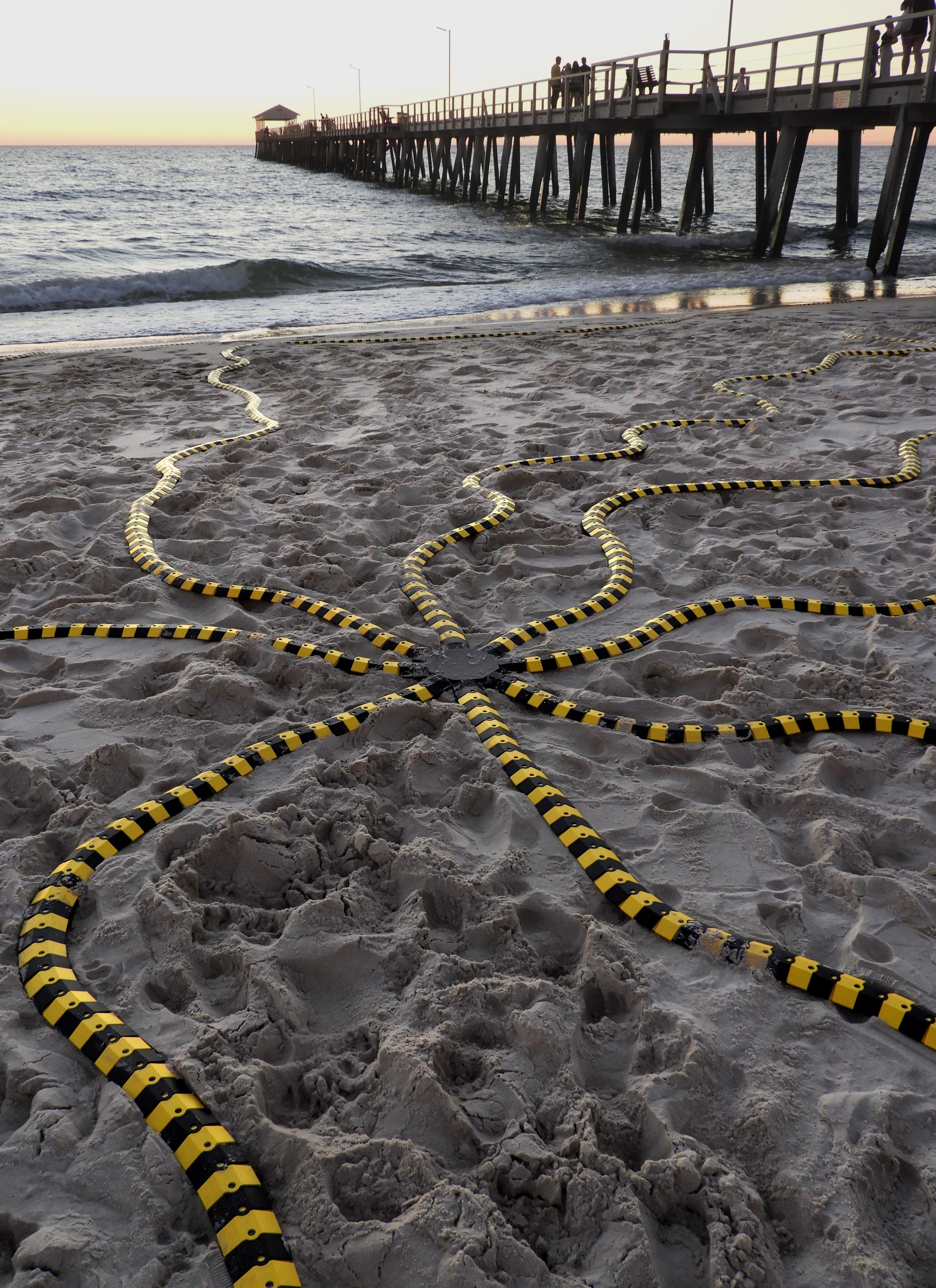 South Australia’s harmful algal bloom inspires new art by Dan Monceaux